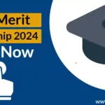 NEC Merit Scholarship